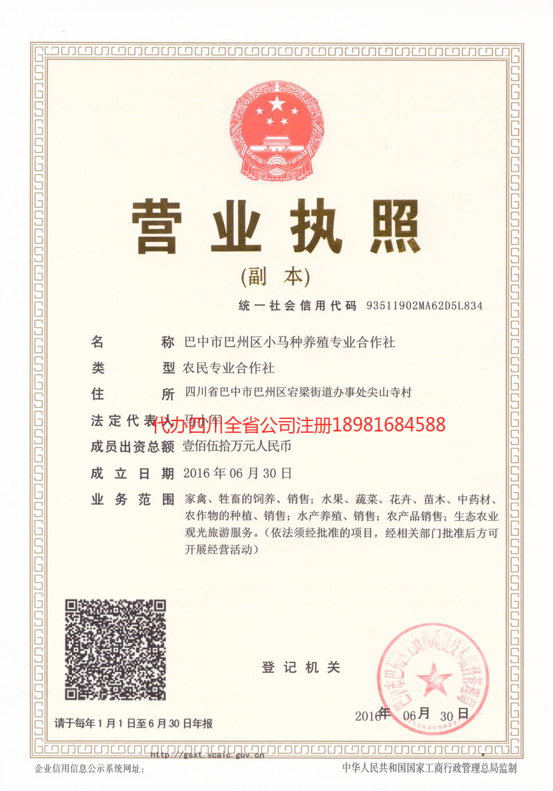 天长天长小马种养殖专业合作社